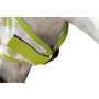Maschera antimosche  Flamingo HKM