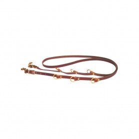 Training Reins