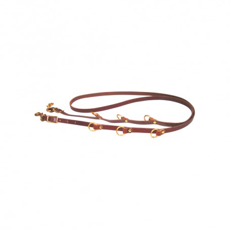 Training Reins