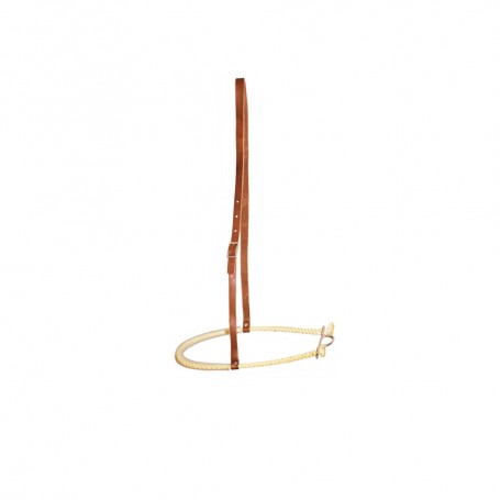 Noseband rawhide Pool's
