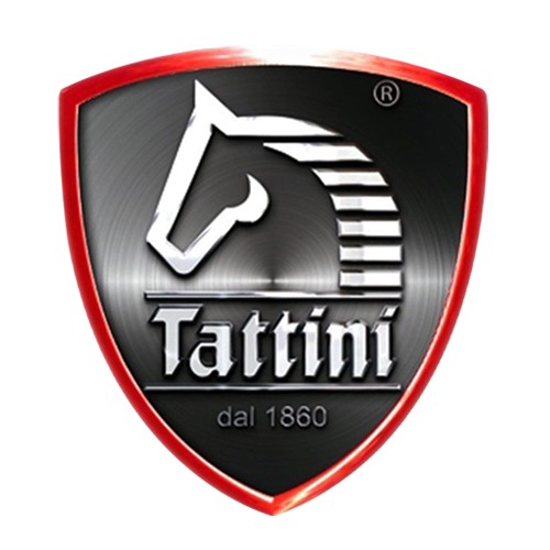 TATTINI